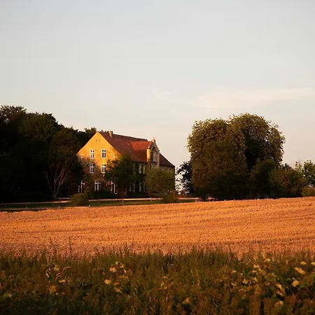 Grosses, Neu Eingerichtetes Mit Weitblick In Neu Gaarz